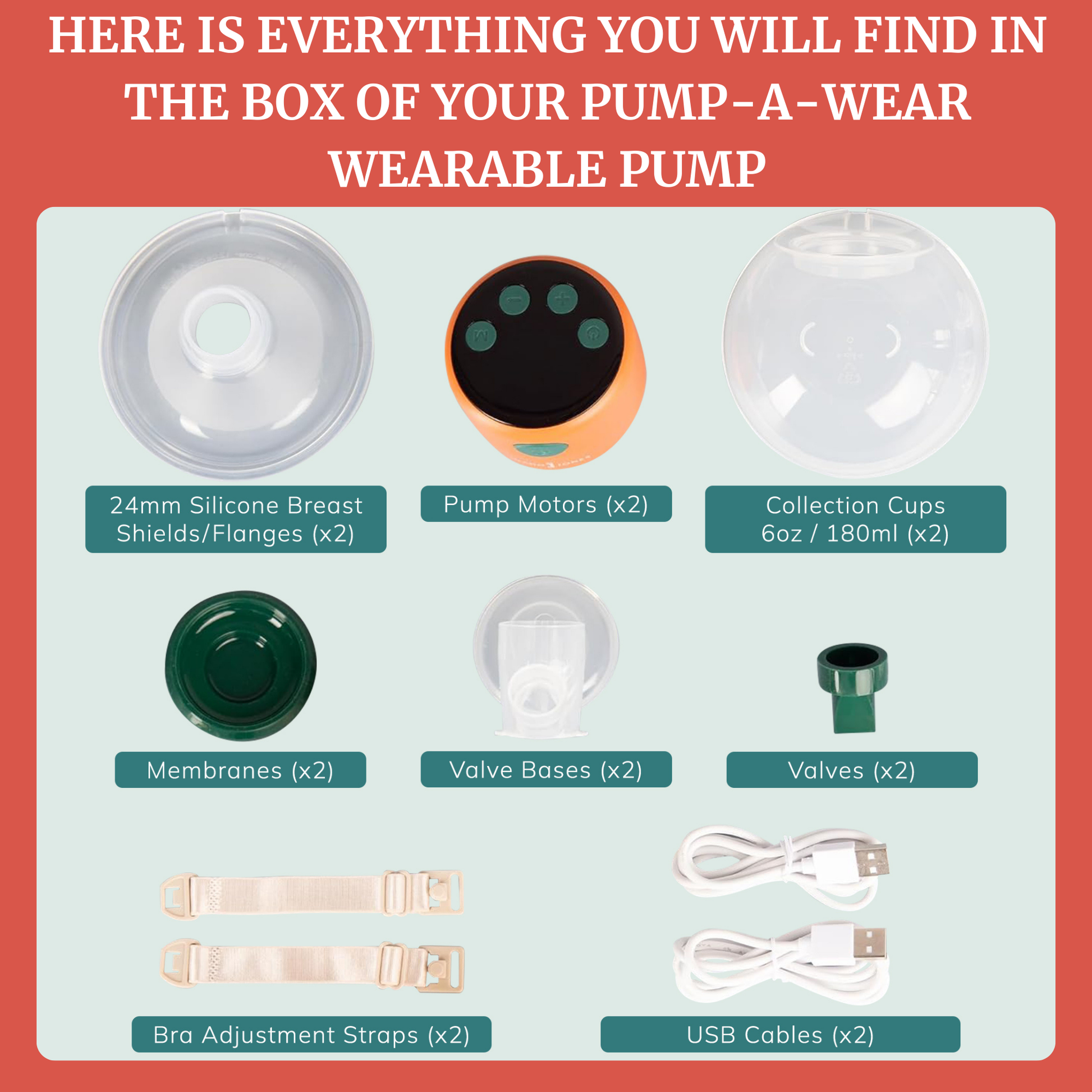 Image showing components included in the Pump-A-Wear wearable breast pump box, featuring shields, motors, and collection cups.