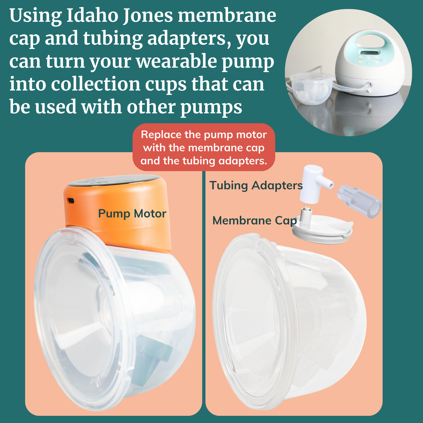 Tubing Adapters for Collection Cups
