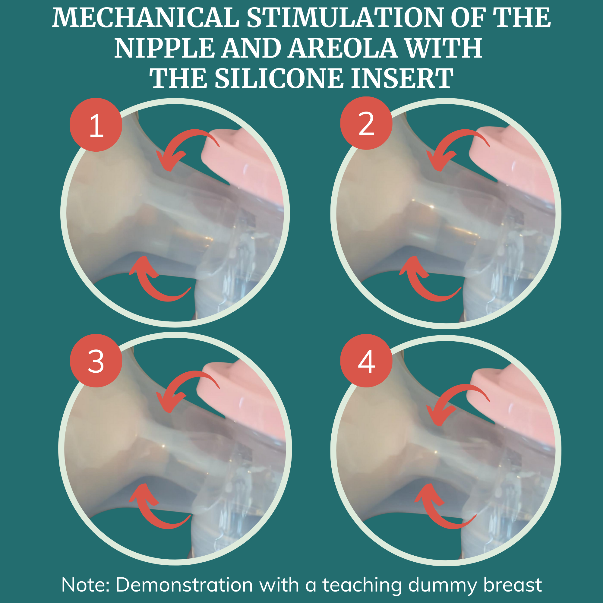 Mechanical stimulation of nipple and areola with Moxi Portable Breast Pump silicone insert instructions.