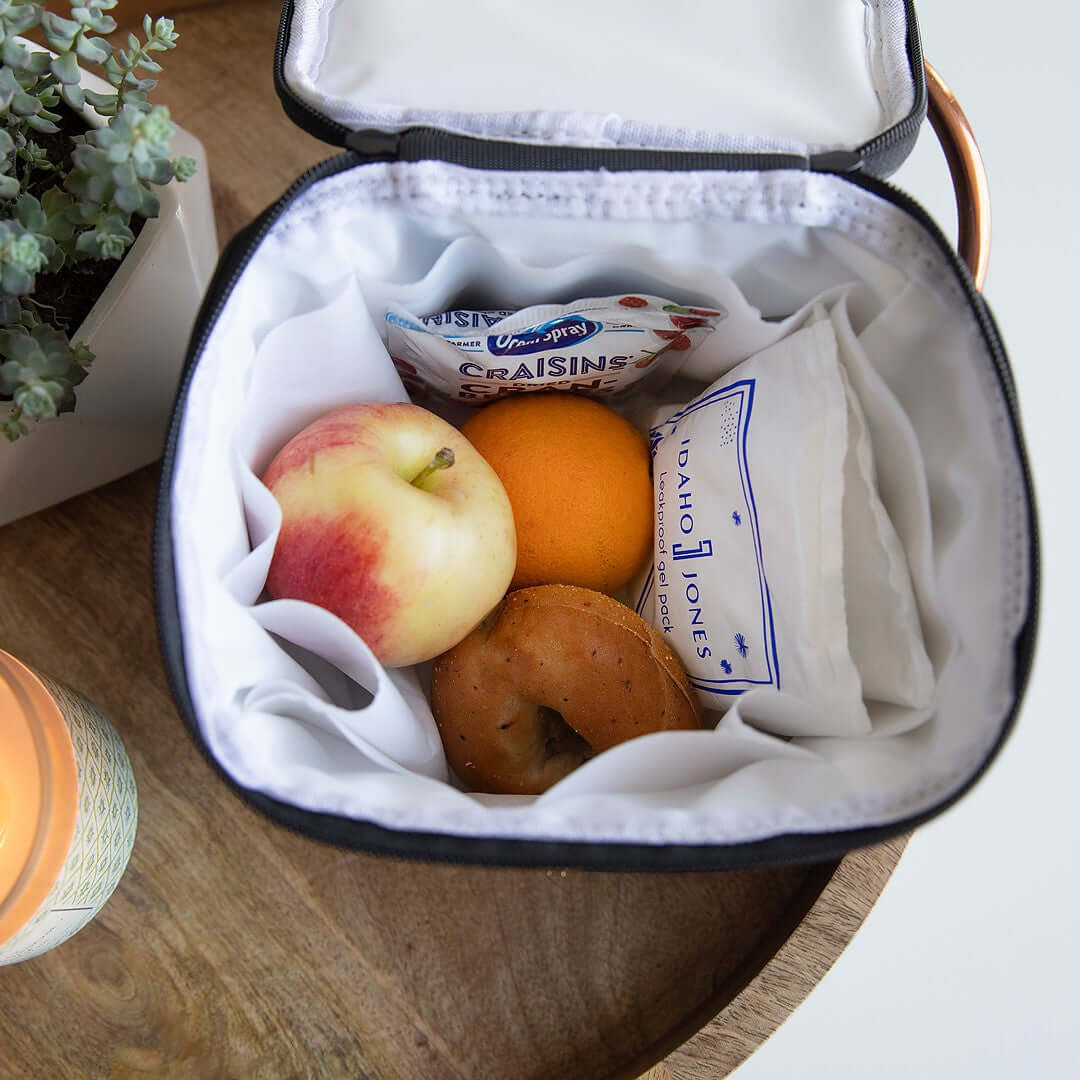 Two (2) Breast Milk Ice Packs for Coolers