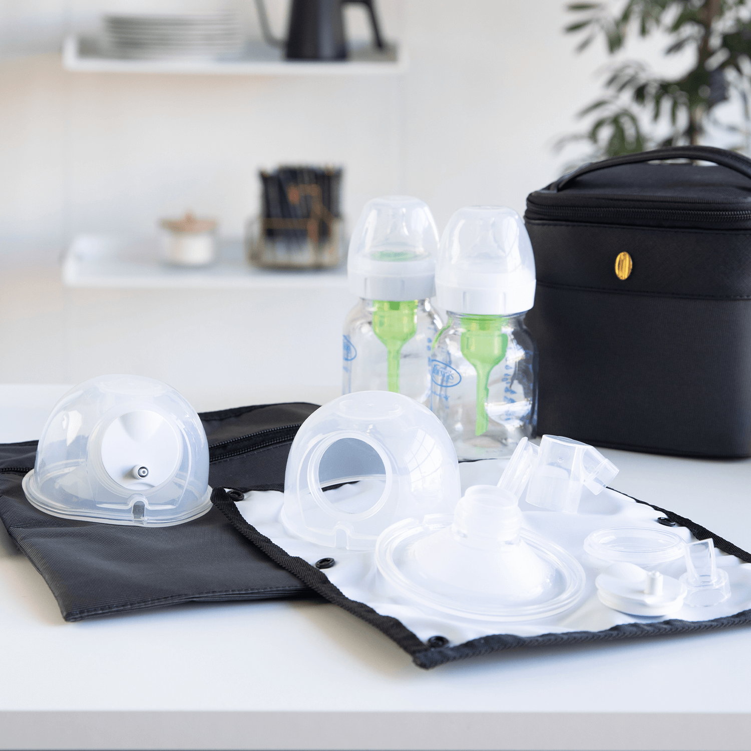 Evenflo Feeding Black Pumping Accessories Tote for Breastfeeding - with  Milk Collection Bottles, Bags and Breast Pump Adapters